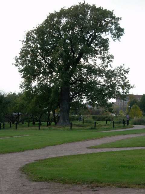 Ландшафтный парк вид 1, коломенское kolomna history people many rus russia moscow 2005 россия москва крест парк мед ландшафт православие церковь храм церковная служба апарышев
