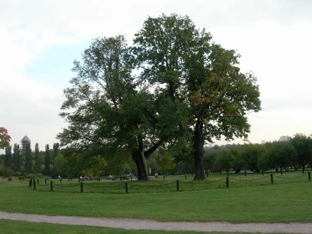 Ландшафтный парк вид 2, коломенское kolomna history people many rus russia moscow 2005 россия москва крест парк мед ландшафт православие церковь храм церковная служба апарышев