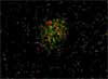 Скопление звезд people many pic pictures video rus russia moscow space photo foto fotki history россия космос луна ночь небо фото фотки апарышев